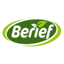 Berief Logo